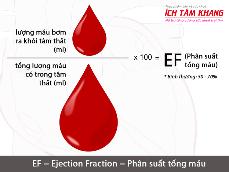 Chỉ số EF (phân suất tống máu) đánh giá chức năng co bóp của tim